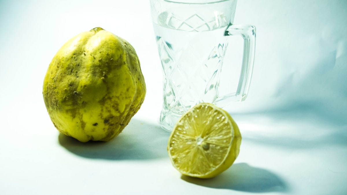 La Importancia de la Hidratación en tu Dieta